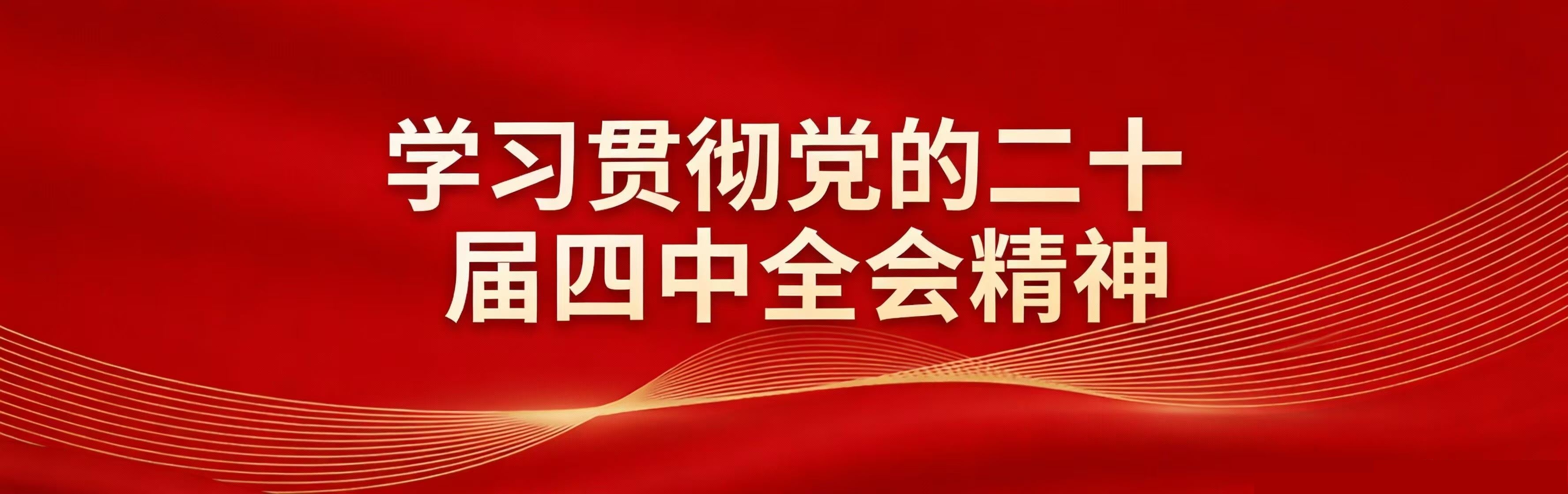 二十届四中全会精神